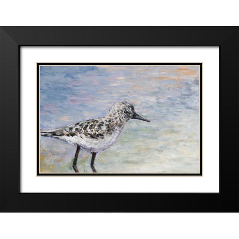Sandpiper I Black Modern Wood Framed Art Print with Double Matting by Johnson, Walt
