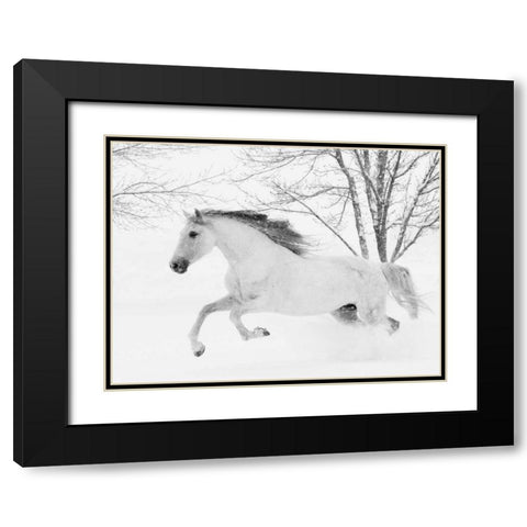 Running in the Snow Black Modern Wood Framed Art Print with Double Matting by Walker, Carol