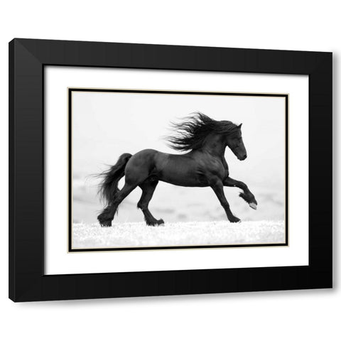 Black Horse Black Modern Wood Framed Art Print with Double Matting by Walker, Carol