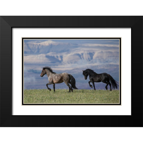 Horses In The Field With Mountains Black Modern Wood Framed Art Print with Double Matting by Walker, Carol