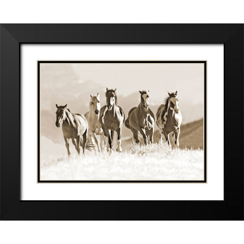 Mountain Run Black Modern Wood Framed Art Print with Double Matting by Walker, Carol