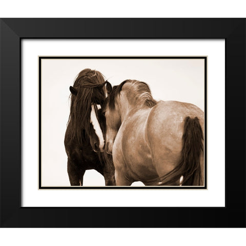 Horses Courting Black Modern Wood Framed Art Print with Double Matting by Walker, Carol
