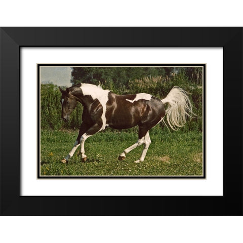 Before The Race Black Modern Wood Framed Art Print with Double Matting by Walker, Carol