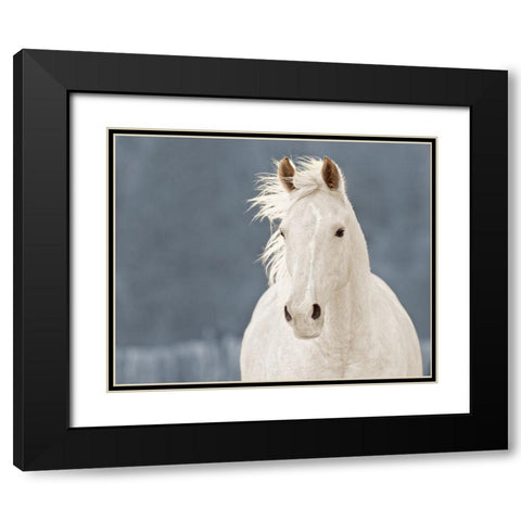 The Lucky One Black Modern Wood Framed Art Print with Double Matting by Walker, Carol