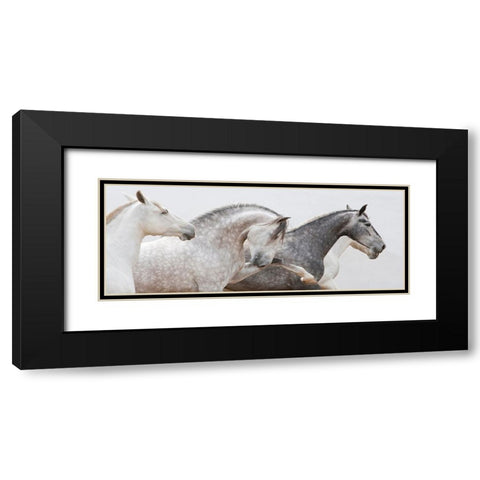 Pointing The Way Black Modern Wood Framed Art Print with Double Matting by Walker, Carol