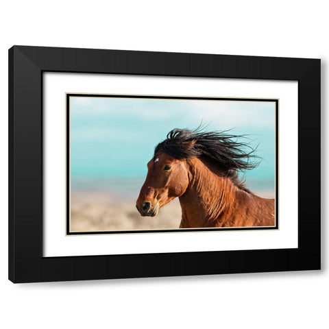 Running Horse Black Modern Wood Framed Art Print with Double Matting by Walker, Carol