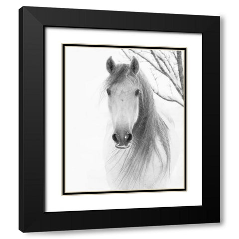 Facing Horse Black Modern Wood Framed Art Print with Double Matting by Walker, Carol