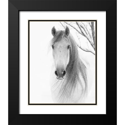 Facing Horse Black Modern Wood Framed Art Print with Double Matting by Walker, Carol