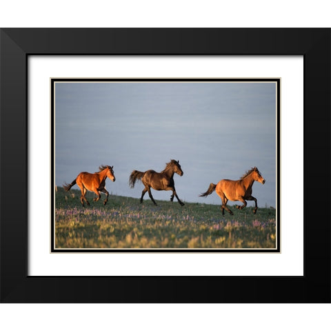 Chase of Life Black Modern Wood Framed Art Print with Double Matting by Walker, Carol