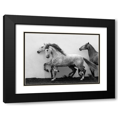 Lining Up Black Modern Wood Framed Art Print with Double Matting by Walker, Carol