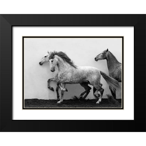 Lining Up Black Modern Wood Framed Art Print with Double Matting by Walker, Carol