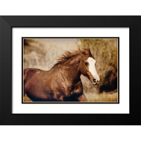 Running Horse Black Modern Wood Framed Art Print with Double Matting by Walker, Carol