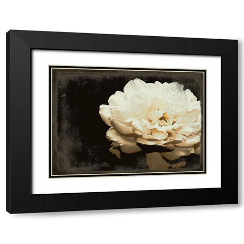 Blooming Elegance Black Modern Wood Framed Art Print with Double Matting by Navas, Emily