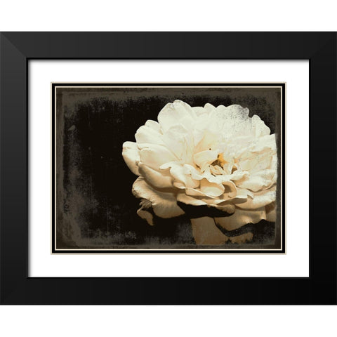 Blooming Elegance Black Modern Wood Framed Art Print with Double Matting by Navas, Emily