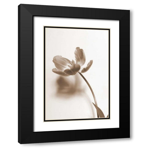 Delicate Floral I Black Modern Wood Framed Art Print with Double Matting by Peck, Gail