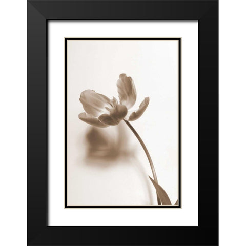 Delicate Floral I Black Modern Wood Framed Art Print with Double Matting by Peck, Gail