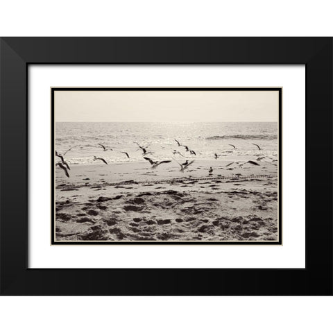 Dream of the Beach I Black Modern Wood Framed Art Print with Double Matting by Bryant, Susan