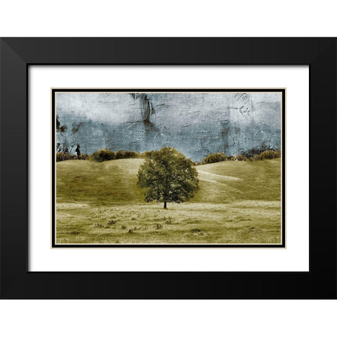Tree in the Valley Black Modern Wood Framed Art Print with Double Matting by Mabat, Ynon