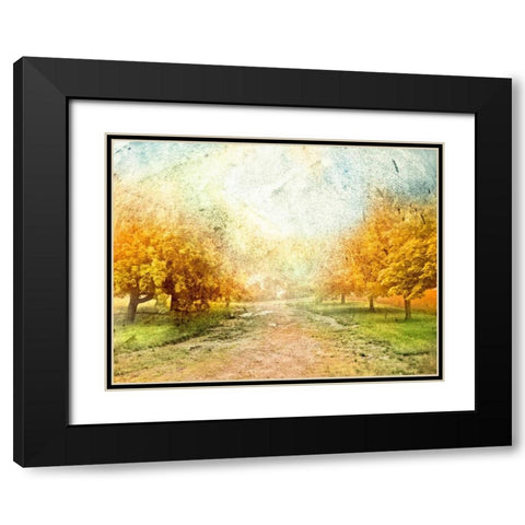 Oak Path Black Modern Wood Framed Art Print with Double Matting by Mabat, Ynon