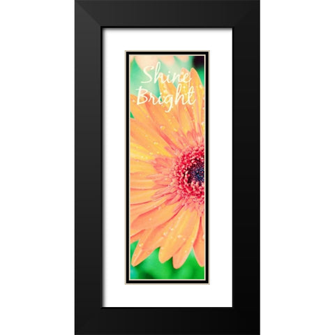 Shine Bright Daisy Black Modern Wood Framed Art Print with Double Matting by Bryant, Susan