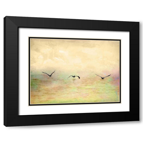 Seagulls in the Sky I Black Modern Wood Framed Art Print with Double Matting by Mabat, Ynon