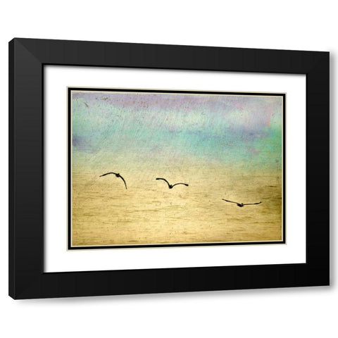Seagulls in the Sky II Black Modern Wood Framed Art Print with Double Matting by Mabat, Ynon