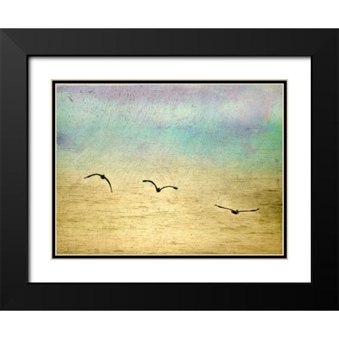 Seagulls in the Sky II Black Modern Wood Framed Art Print with Double Matting by Mabat, Ynon
