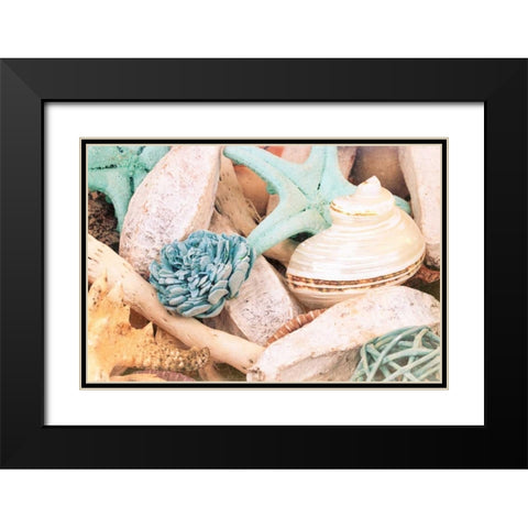 Bundle of Shells II Black Modern Wood Framed Art Print with Double Matting by Bryant, Susan