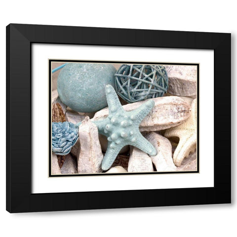 Bundle of Shells I Black Modern Wood Framed Art Print with Double Matting by Susan Bryant