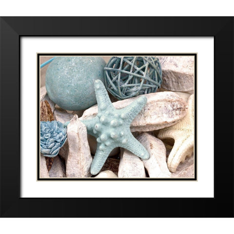 Bundle of Shells I Black Modern Wood Framed Art Print with Double Matting by Susan Bryant