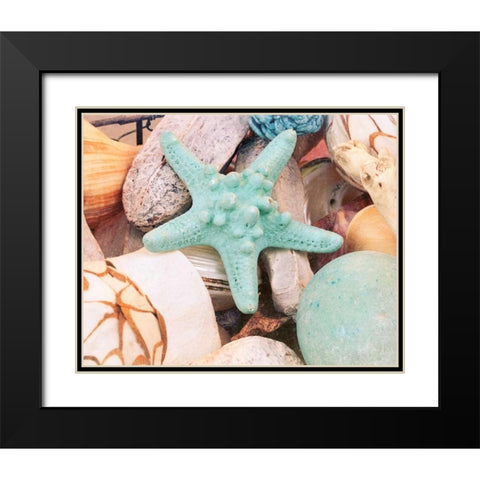 Bundle of Shells V Black Modern Wood Framed Art Print with Double Matting by Bryant, Susan
