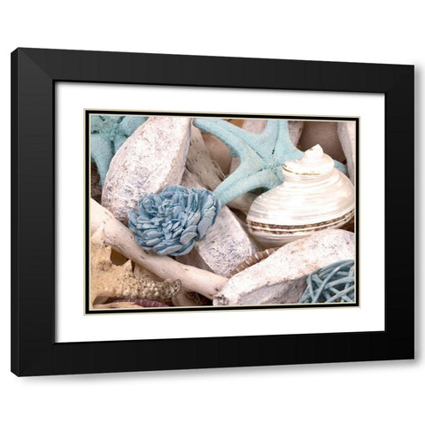 Bundle of Shells II Black Modern Wood Framed Art Print with Double Matting by Bryant, Susan