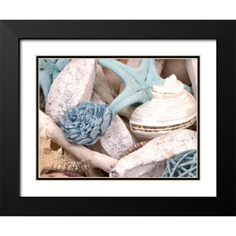 Bundle of Shells II Black Modern Wood Framed Art Print with Double Matting by Bryant, Susan