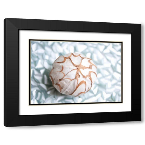 Shimmer Shells I Black Modern Wood Framed Art Print with Double Matting by Bryant, Susan