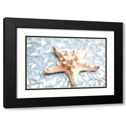 Shimmer Shells II Black Modern Wood Framed Art Print with Double Matting by Bryant, Susan