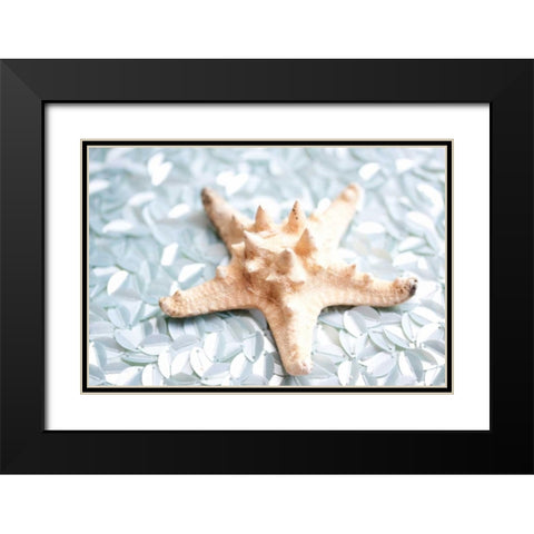 Shimmer Shells II Black Modern Wood Framed Art Print with Double Matting by Bryant, Susan