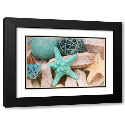 Bundle of Shells I Black Modern Wood Framed Art Print with Double Matting by Bryant, Susan