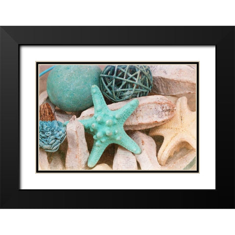 Bundle of Shells I Black Modern Wood Framed Art Print with Double Matting by Bryant, Susan
