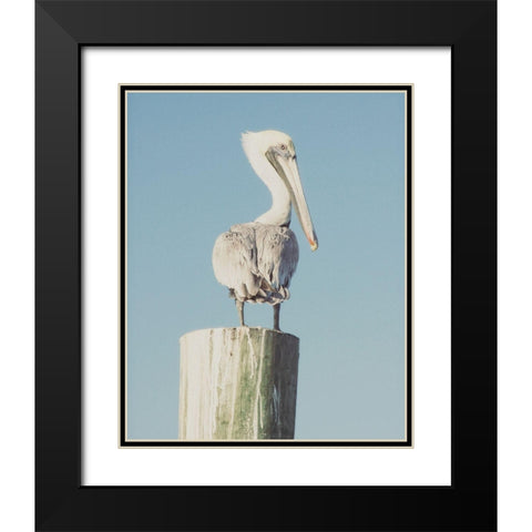 Pelican Post Muted I Black Modern Wood Framed Art Print with Double Matting by Mansfield, Kathy