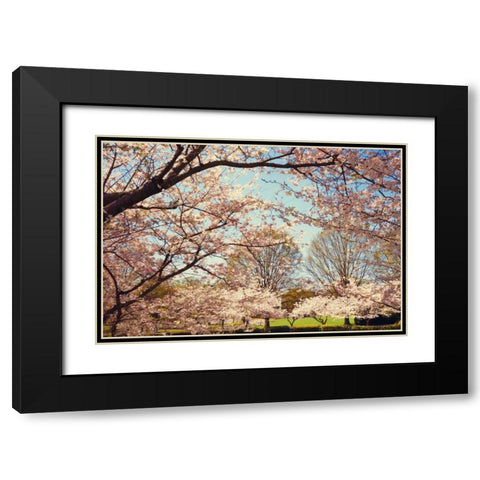 Blossom Beauty I Black Modern Wood Framed Art Print with Double Matting by Mansfield, Kathy