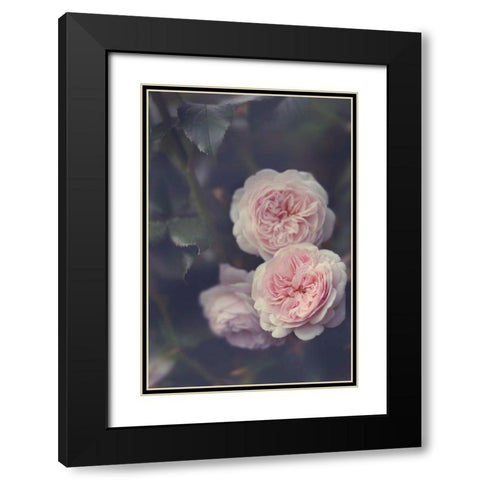 Hiding Blooms Black Modern Wood Framed Art Print with Double Matting by Gardner, Sarah