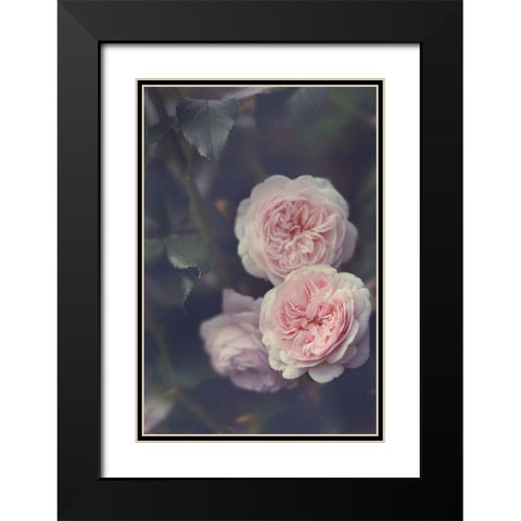 Hiding Blooms Black Modern Wood Framed Art Print with Double Matting by Gardner, Sarah