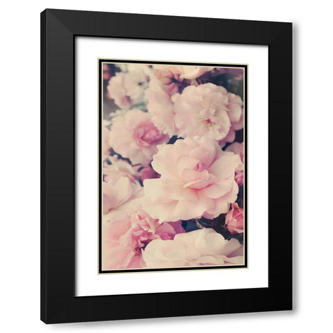 Pink Blossoms I Black Modern Wood Framed Art Print with Double Matting by Gardner, Sarah