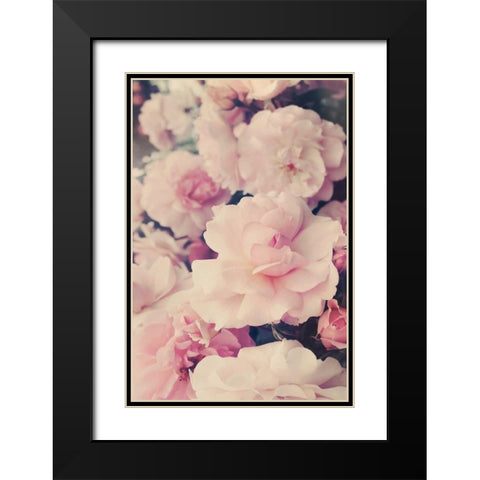 Pink Blossoms I Black Modern Wood Framed Art Print with Double Matting by Gardner, Sarah