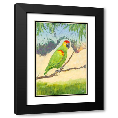 Tropic Bird in Paradise II Black Modern Wood Framed Art Print with Double Matting by DeRice, Julie
