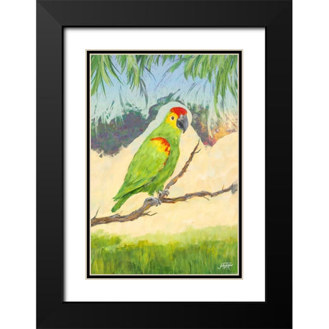 Tropic Bird in Paradise II Black Modern Wood Framed Art Print with Double Matting by DeRice, Julie