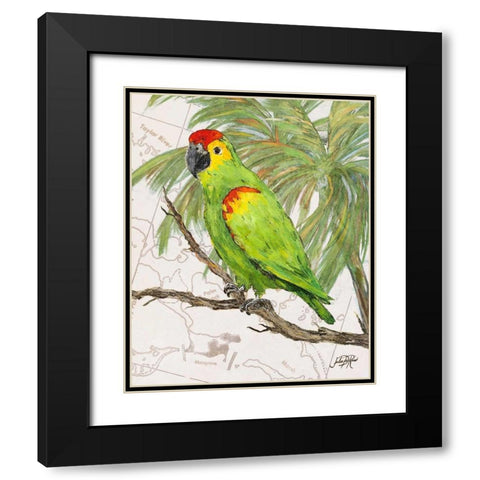 Another Bird in Paradise II Black Modern Wood Framed Art Print with Double Matting by DeRice, Julie