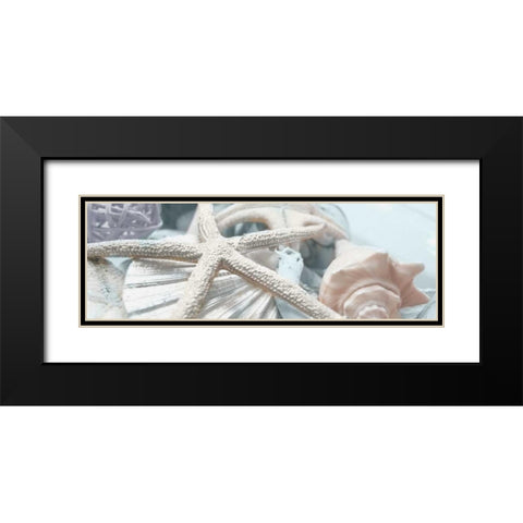 Gold Seashells I Black Modern Wood Framed Art Print with Double Matting by Bryant, Susan