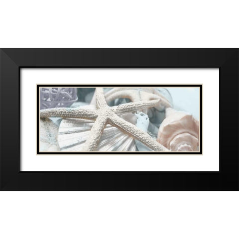 Gold Seashells I Black Modern Wood Framed Art Print with Double Matting by Bryant, Susan