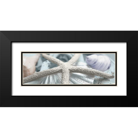 Gold Seashells II Black Modern Wood Framed Art Print with Double Matting by Bryant, Susan